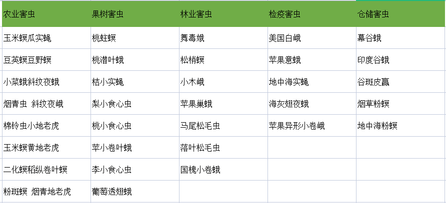 蟲情測報燈可監測害蟲種類.png