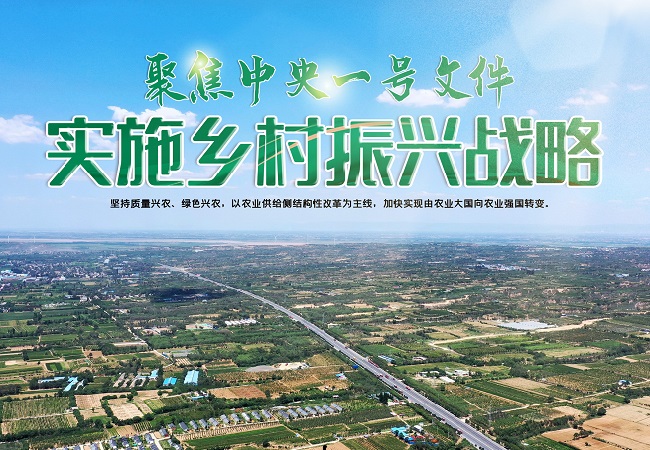 中央一號文件智慧農業(yè)相關信息解讀.jpg
